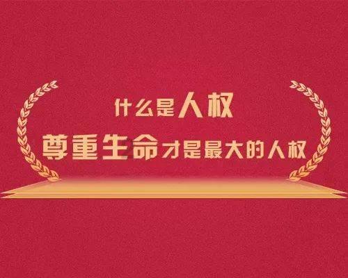 小猫钓鱼游戏龙王版有船
