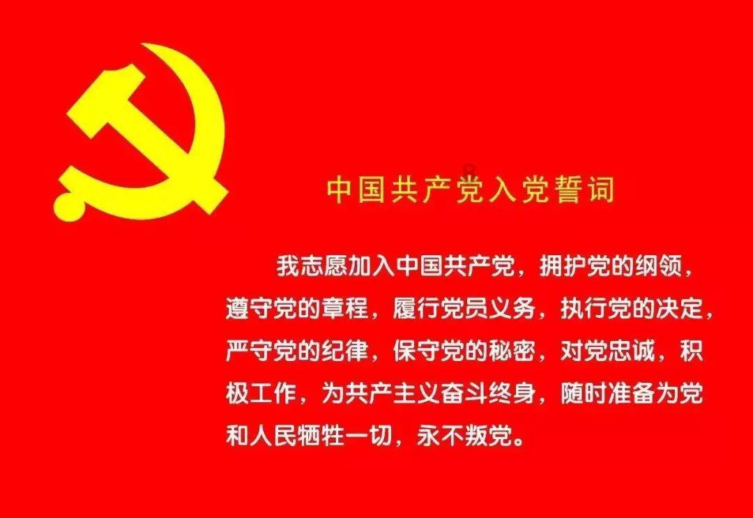 努比亚z60ultra的屏幕和影像系统令人印象深刻