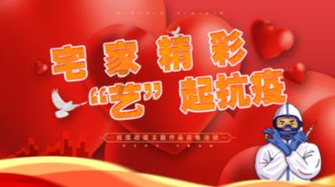 解救金刚鹦鹉