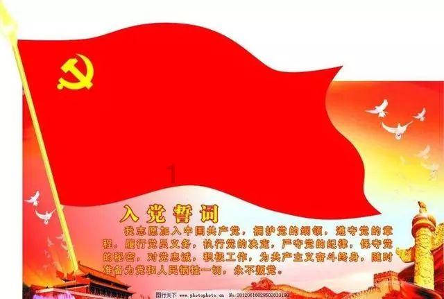 创作猫