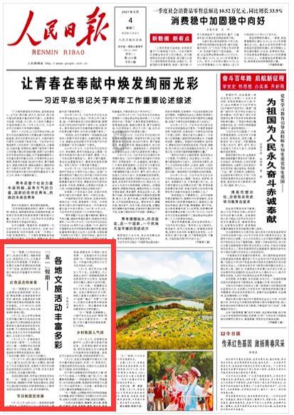 八里营镇菠菜喜获丰收
