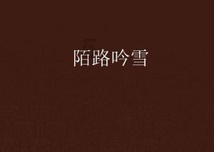小猫钓鱼开船版最新版下载