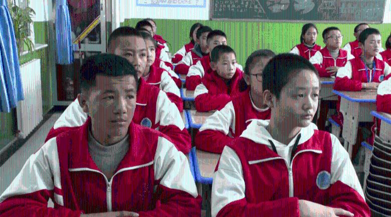 蓝狐视频