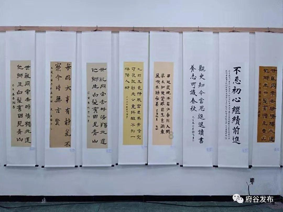驻村网格法官快速联调,养老难题没出村就“解”了