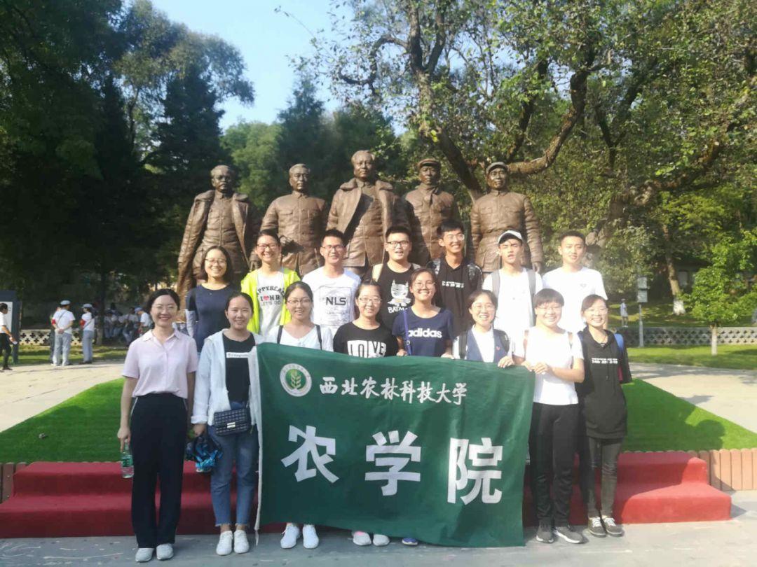 花千骨儒尊当爹是那个番外游戏画面