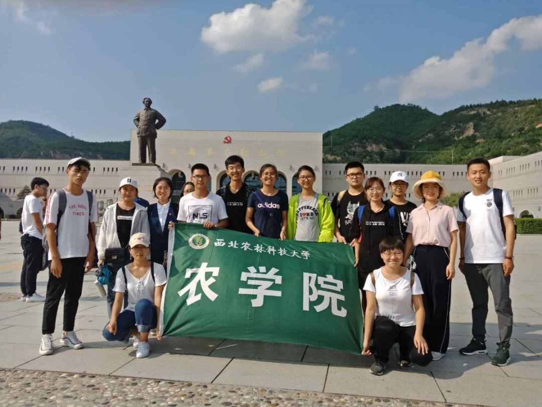 真三国无双7