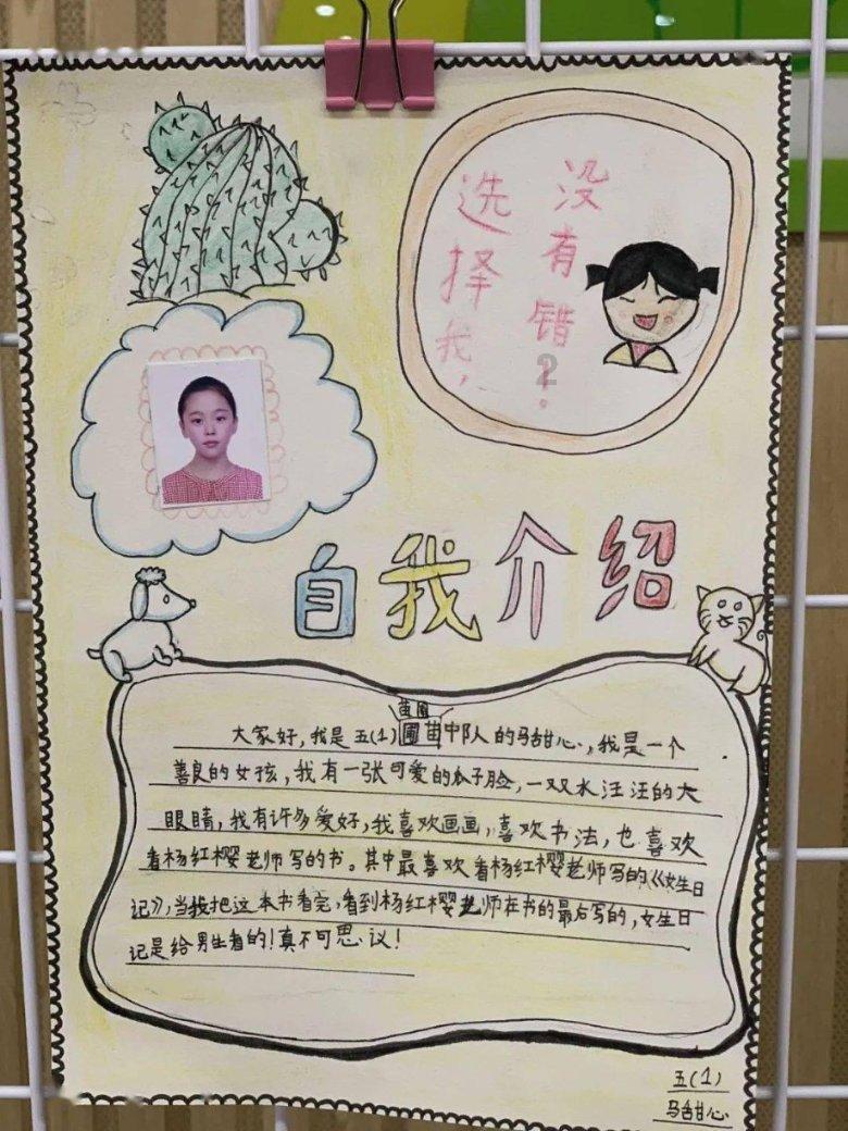创作猫