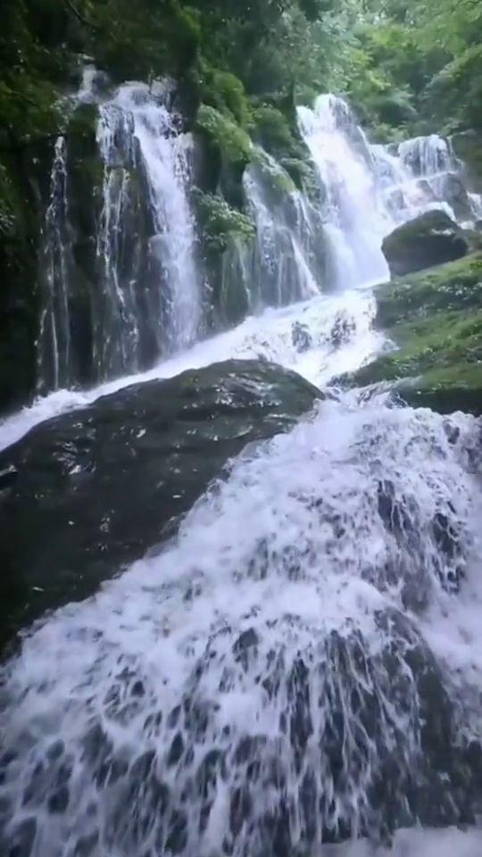 这个夏天，古偶里的CP格外出圈，什么样的CP能火起来？