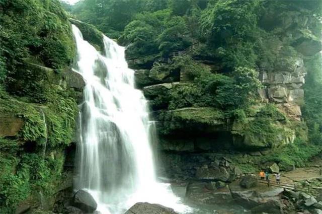 每天卖110吨 半数销往外地 宁夏海吉星市场水产“遍游”五省区