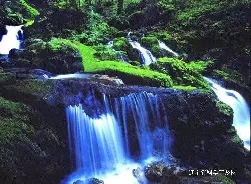 照顾可爱小公主