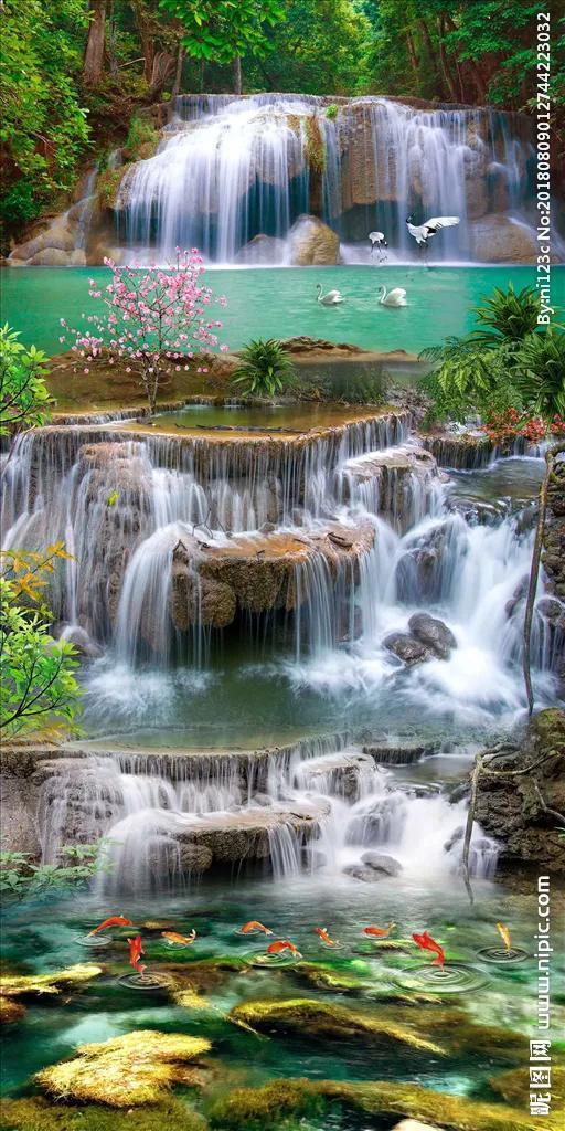 春雨直播app