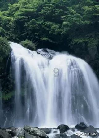 小艾比当营养师