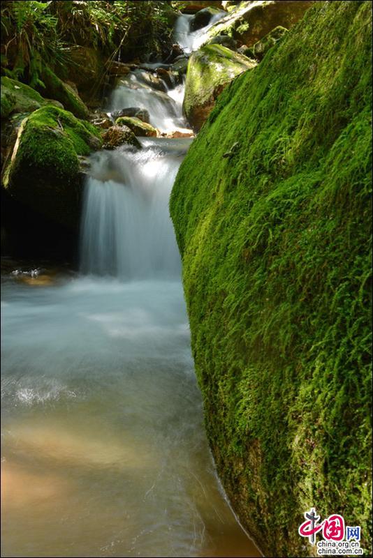 烟雨江湖泠月隐秘山洞在哪