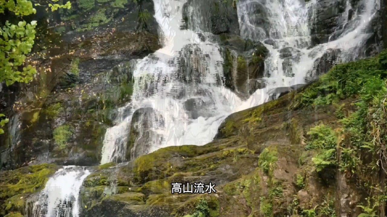 明起28台新能源车投入运营 重庆3条公交线路换新车