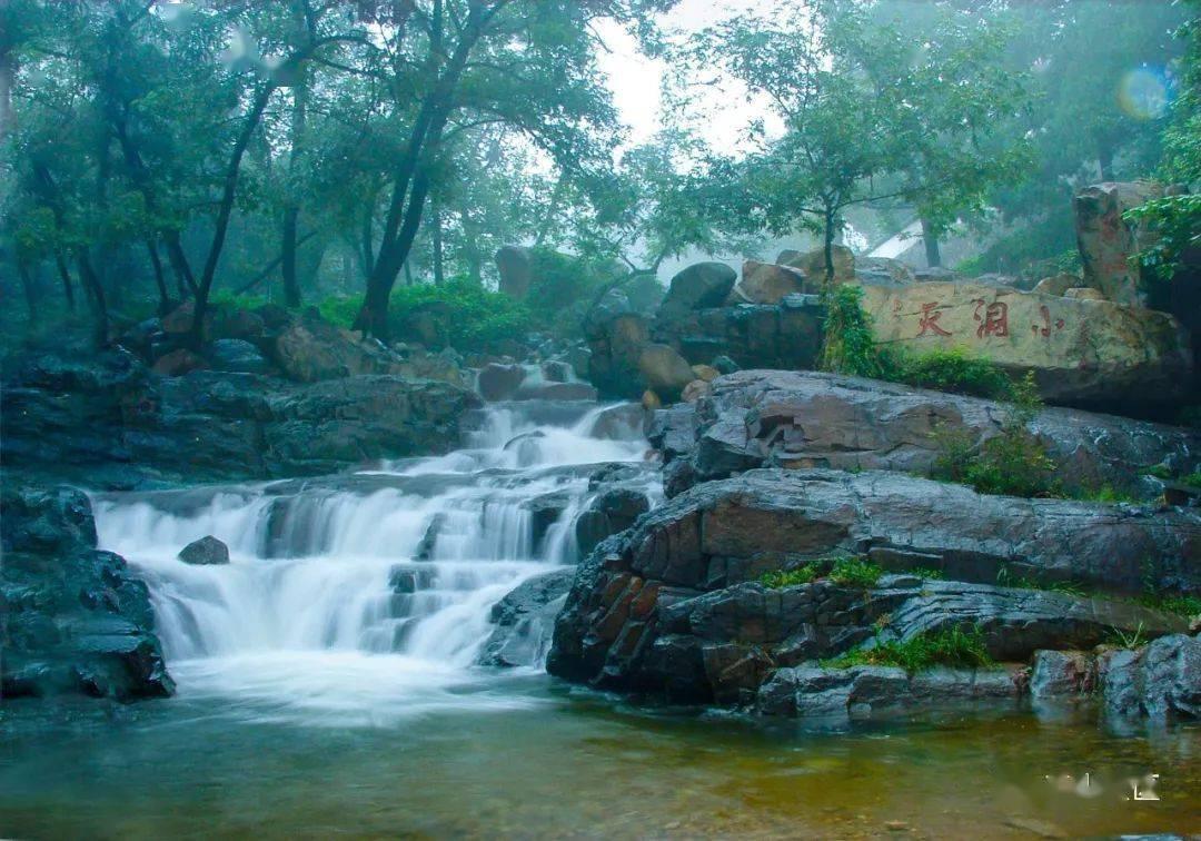 请问这是什么树的花啊？游戏画面