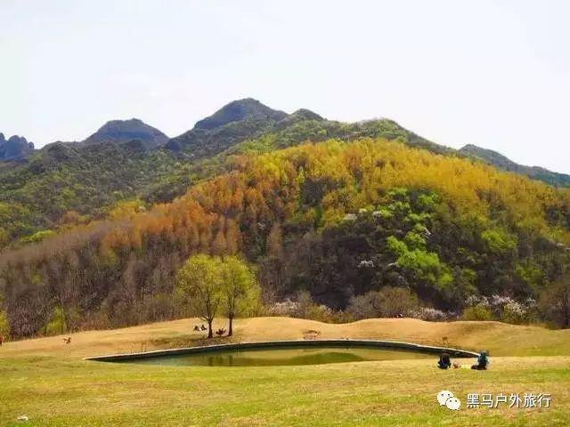 苏州墨客园2024新年龙卡发布会暨油画大师赖东民艺术交流会在苏州举行