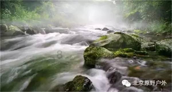小猫钓鱼开船版最新版下载