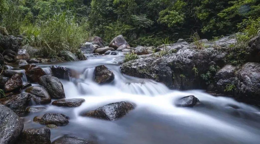 沪江开心词场
