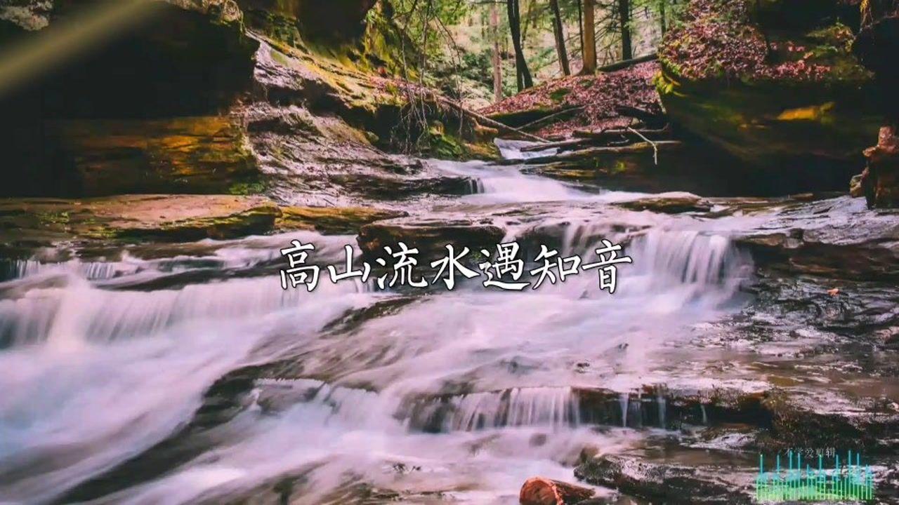 救援小白狼