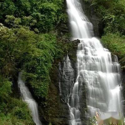 逃出蜜蜂岛