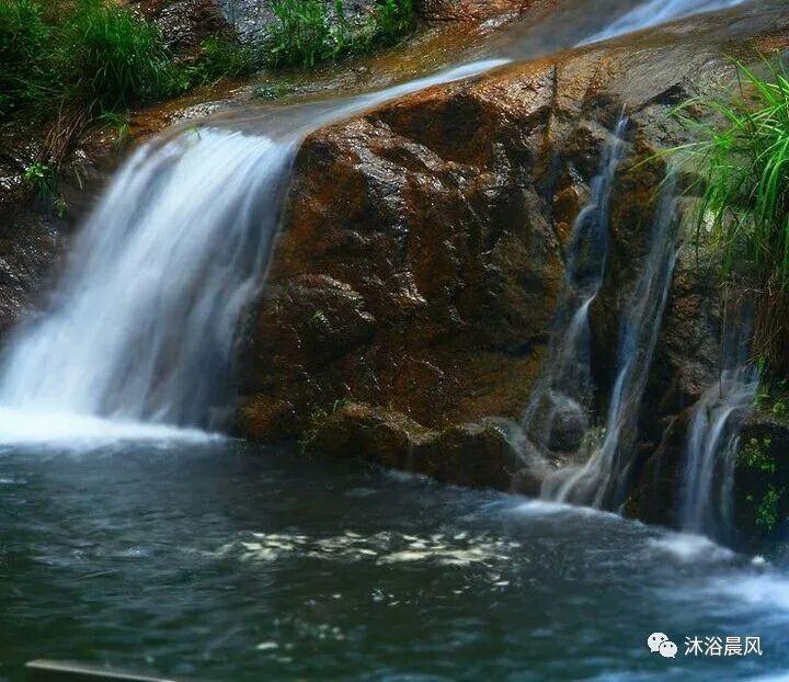 爱吃的鱼