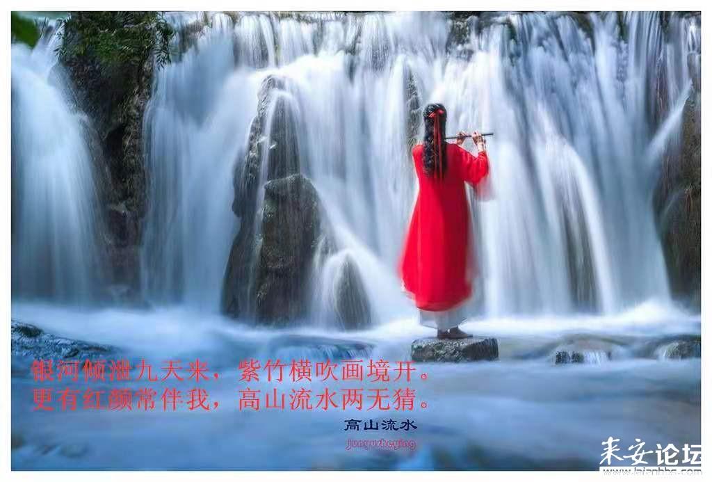 了不起的麦瑟尔夫人