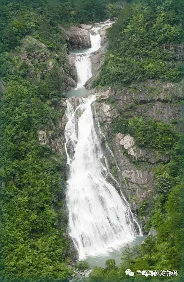 春雨直播app