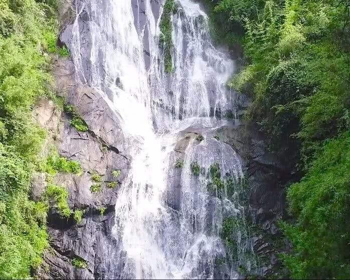 沪江开心词场