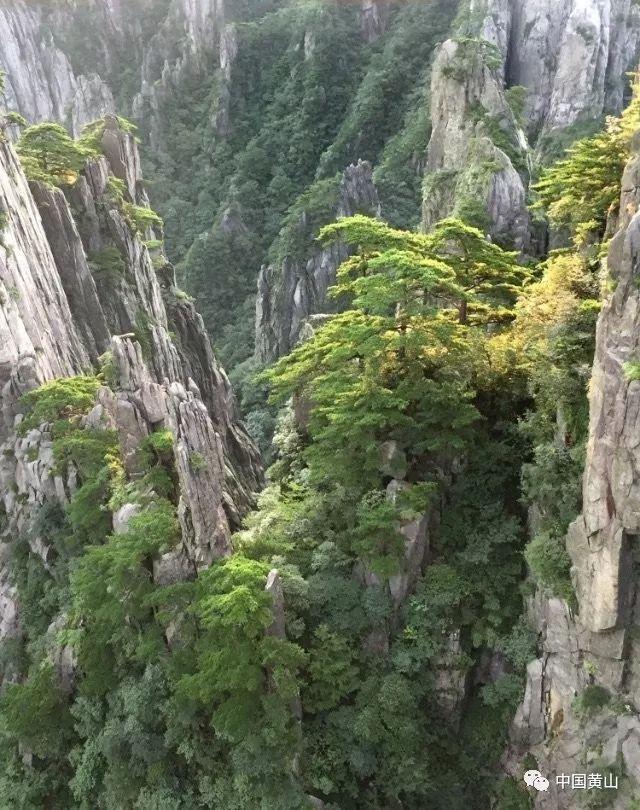 25岁中国女教师在美遭泼化学液体,网友愤怒:这种行为太恶劣了!