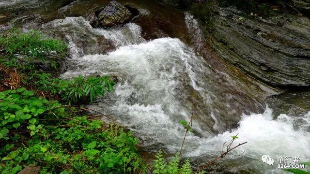 水果益智对对碰