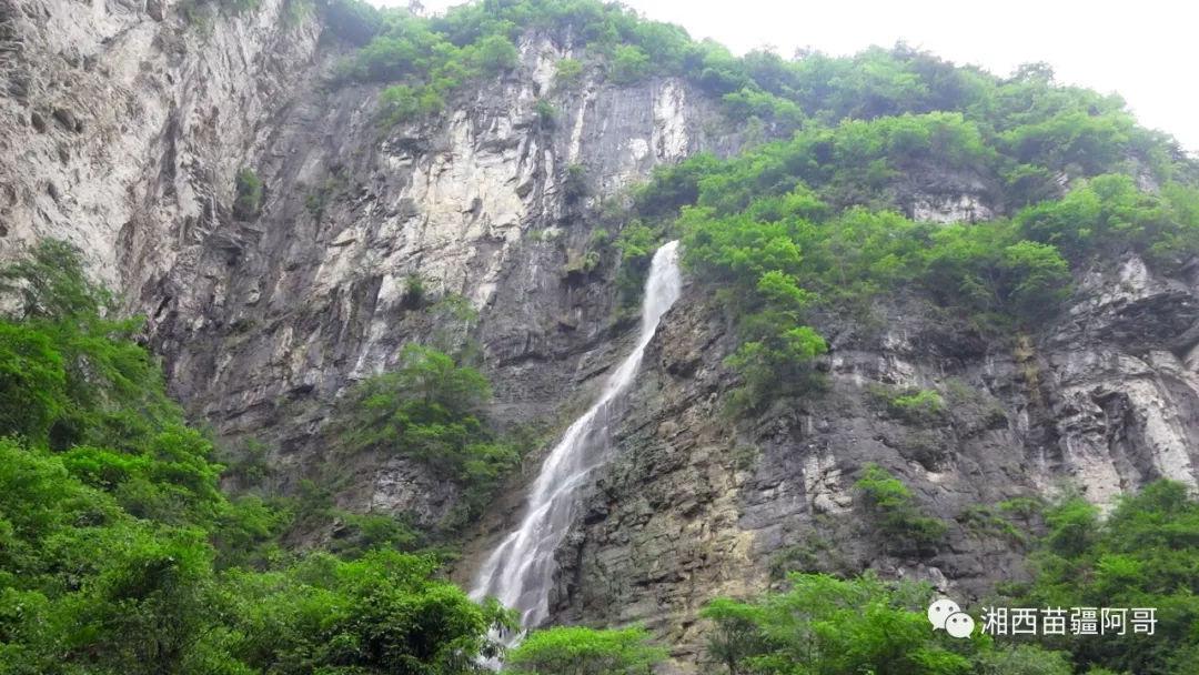 大无名森林逃生
