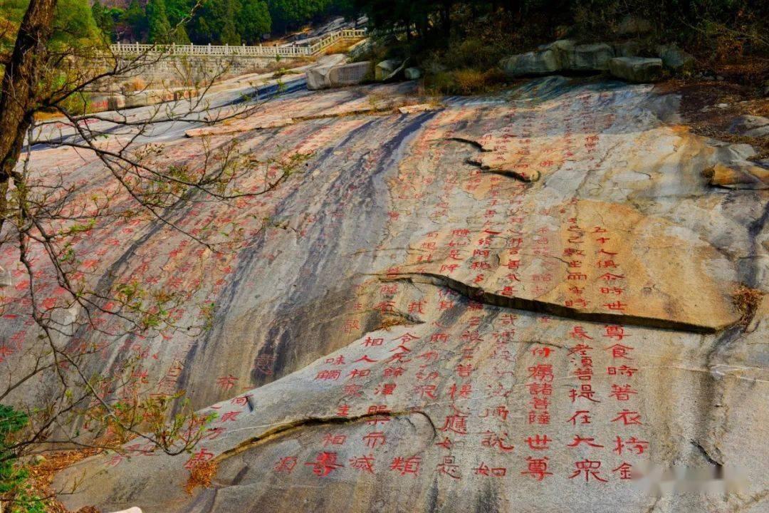 一个人能走多久，靠的不是敷衍，而是真诚