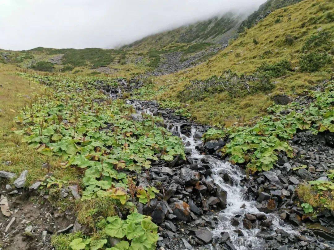 探索未知山峰
