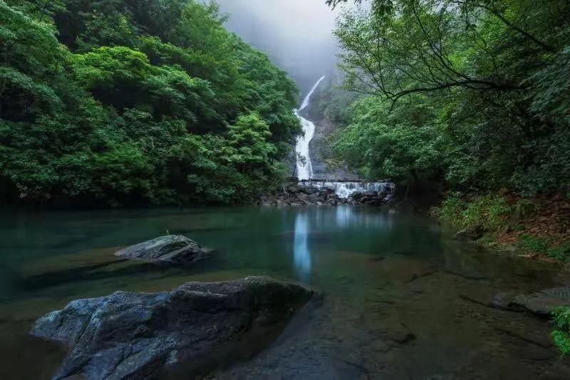 史莱克七怪