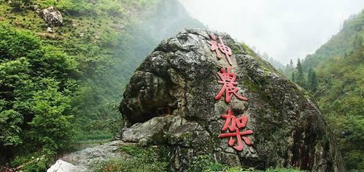 春雨直播app