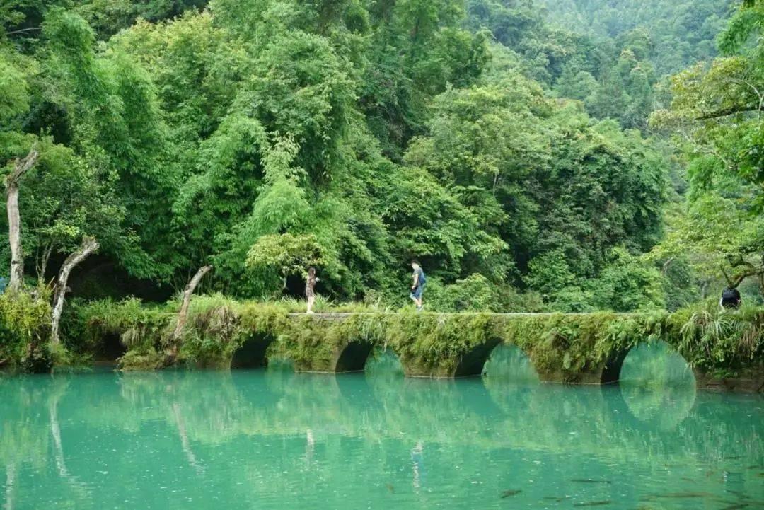 沪江开心词场