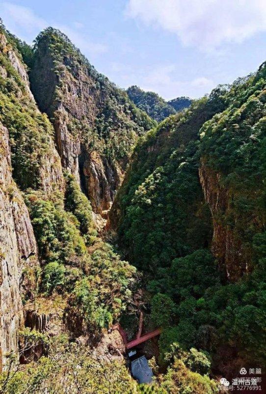 天坛540年前明代古树被游客摸出“包浆”，你如何看待游客的举动？游戏画面