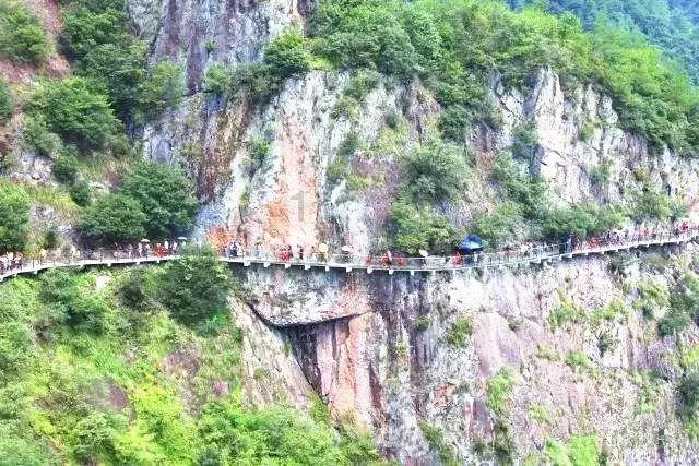 沪江开心词场