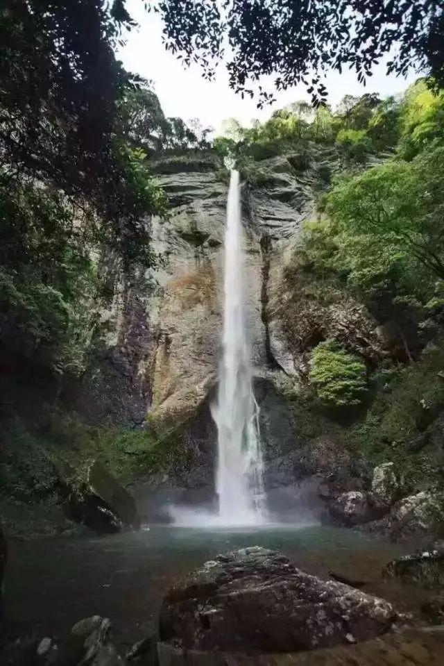 老山羊救援