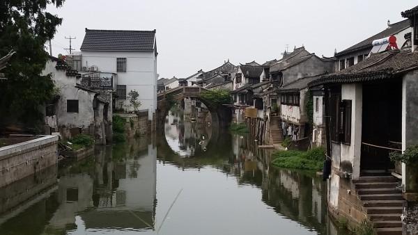 变异动物之战