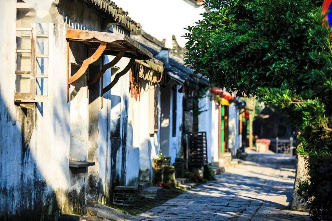 熬鱼到底有多难?只要掌握一些重点步骤,新手也能当大厨!