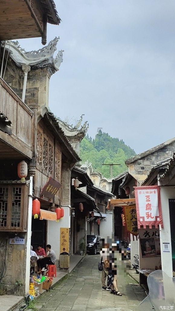 《魔兽世界》乌龟服狐朋狗友任务怎么做