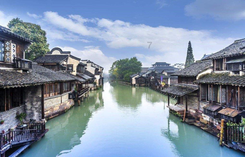动物帮帮忙保卫家园