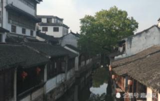且试天下:丰兰息身份曝光,雍王为何暴怒?受到欺瞒或只是其一