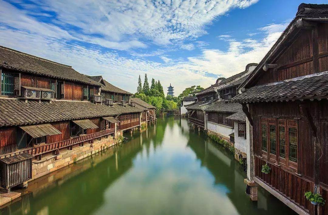 蒿坪绿茶是硒谷生态区种植的吗？为什么含硒量多？游戏画面