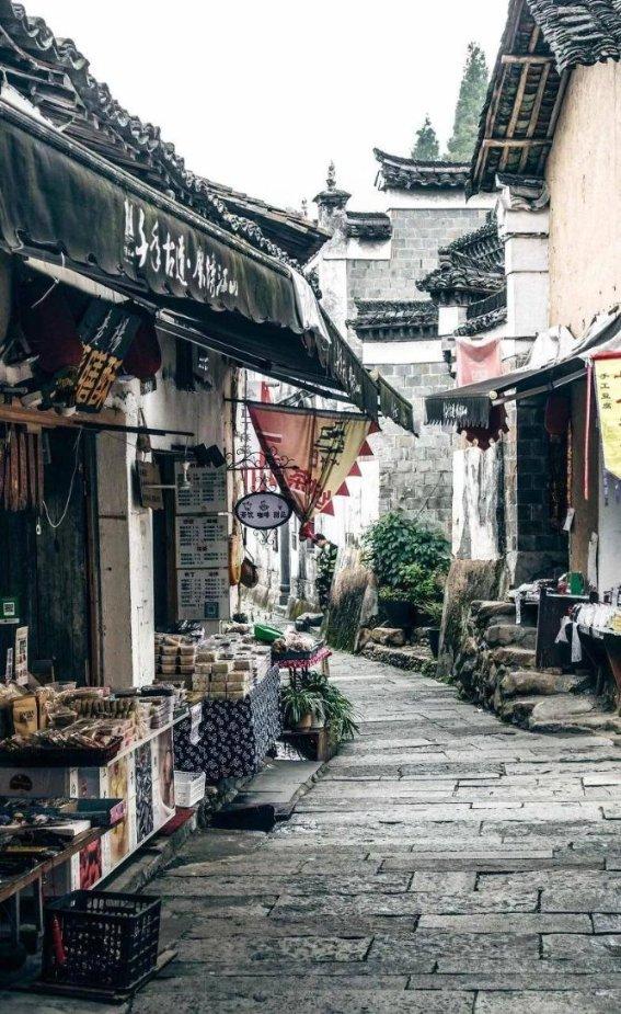 动物帮帮忙保卫家园