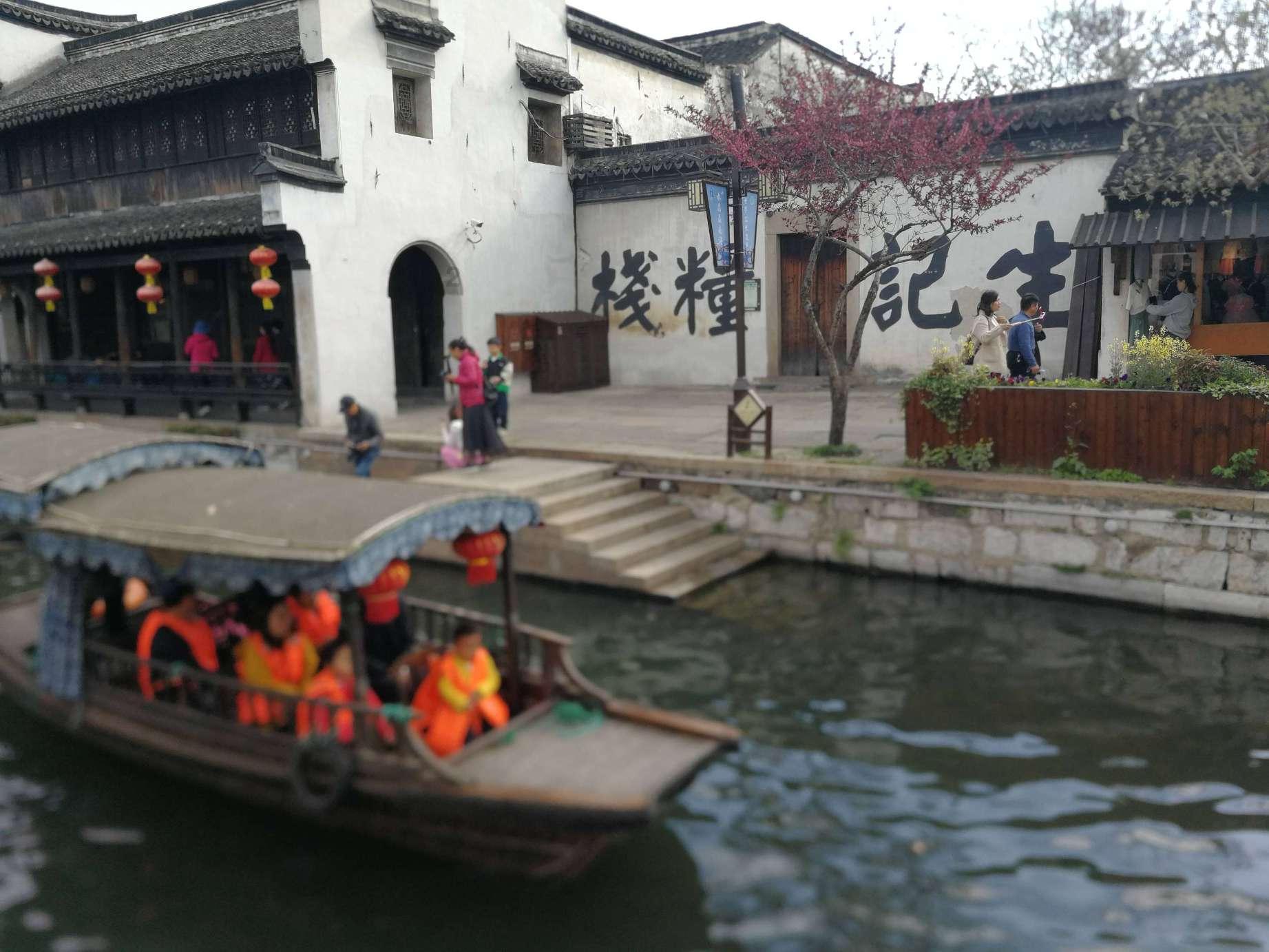 动物帮帮忙保卫家园