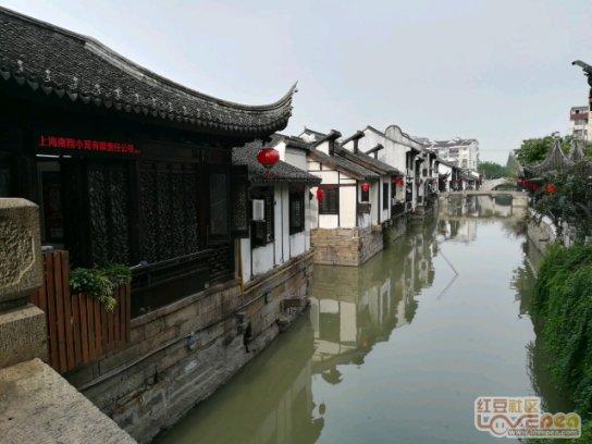 小猫钓鱼游戏龙王版有船