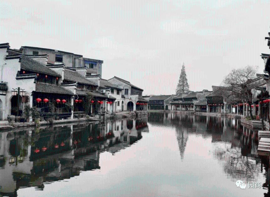 悬案：刹那惊颤