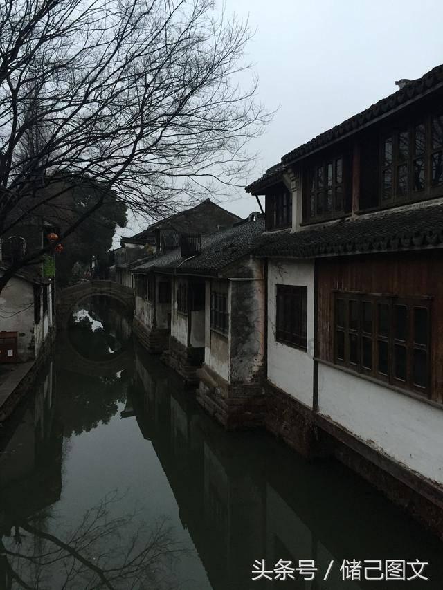 僵尸过人行道